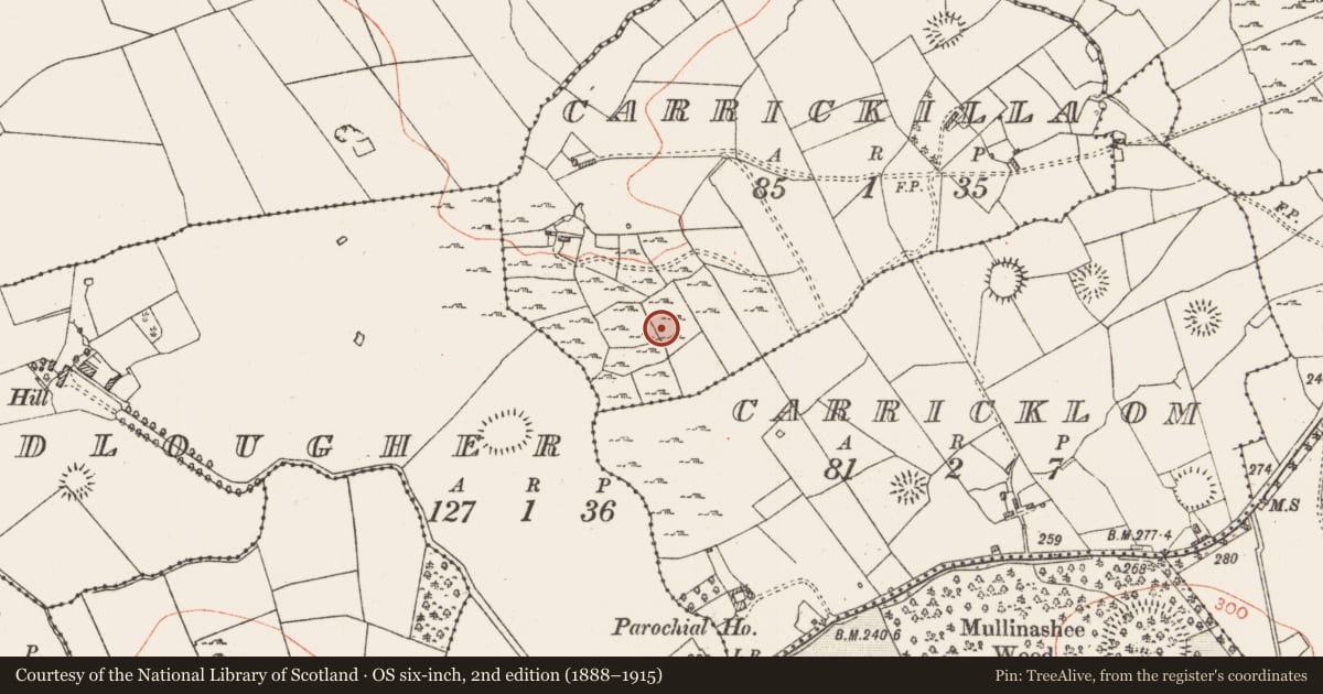 Ordnance Survey six-inch map, 2nd edition (1888–1915) covering the location of Mass-rock, Carrickilla, County Roscommon, with a pin at the register's coordinates