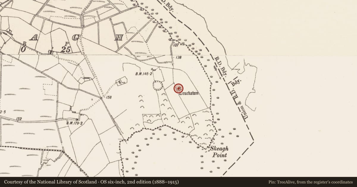 Ordnance Survey six-inch map, 2nd edition (1888–1915) covering the location of Barrow - unclassified, Skeagh, County Roscommon, with a pin at the register's coordinates