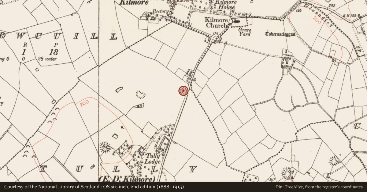 Ordnance Survey six-inch map, 2nd edition (1888–1915) covering the location of Ringfort - rath, Tully, County Roscommon, with a pin at the register's coordinates