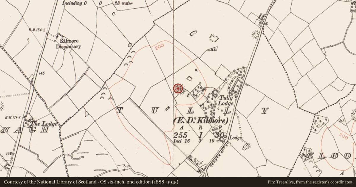 Ordnance Survey six-inch map, 2nd edition (1888–1915) covering the location of Ringfort - rath, Tully, County Roscommon, with a pin at the register's coordinates
