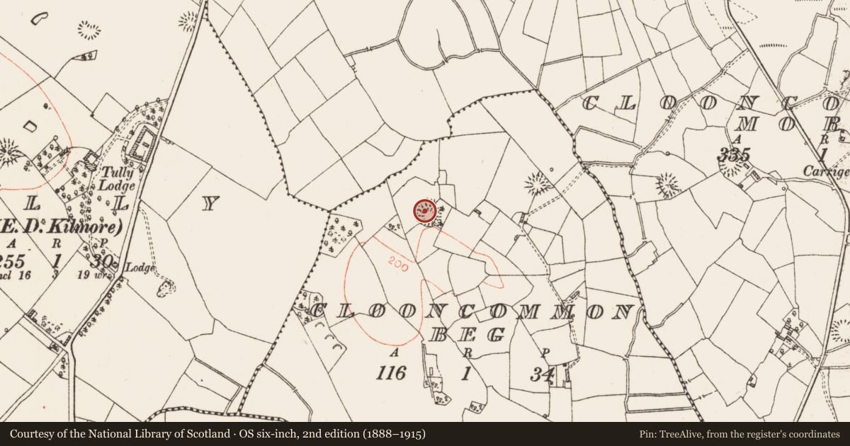 Ordnance Survey six-inch map, 2nd edition (1888–1915) covering the location of Ringfort - rath, Clooncommon Beg, County Roscommon, with a pin at the register's coordinates