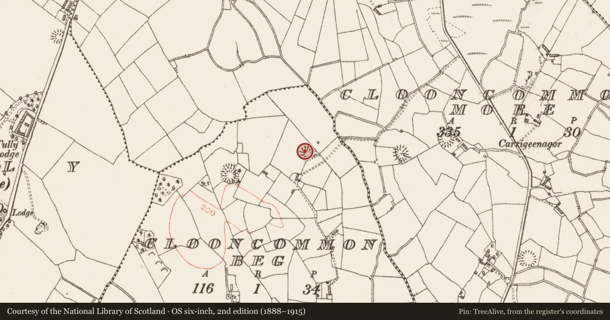 Ordnance Survey six-inch map, 2nd edition (1888–1915) covering the location of Ringfort - rath, Clooncommon Beg, County Roscommon, with a pin at the register's coordinates