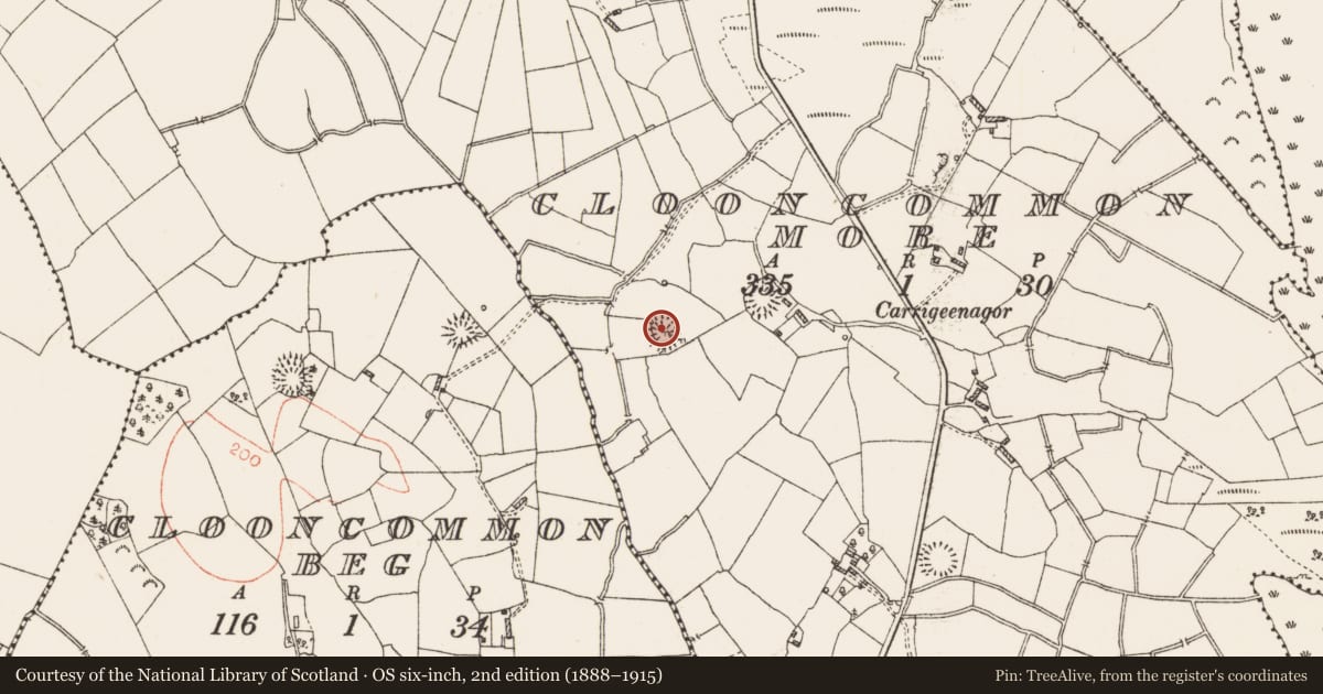 Ordnance Survey six-inch map, 2nd edition (1888–1915) covering the location of Ringfort - rath, Clooncommon More, County Roscommon, with a pin at the register's coordinates