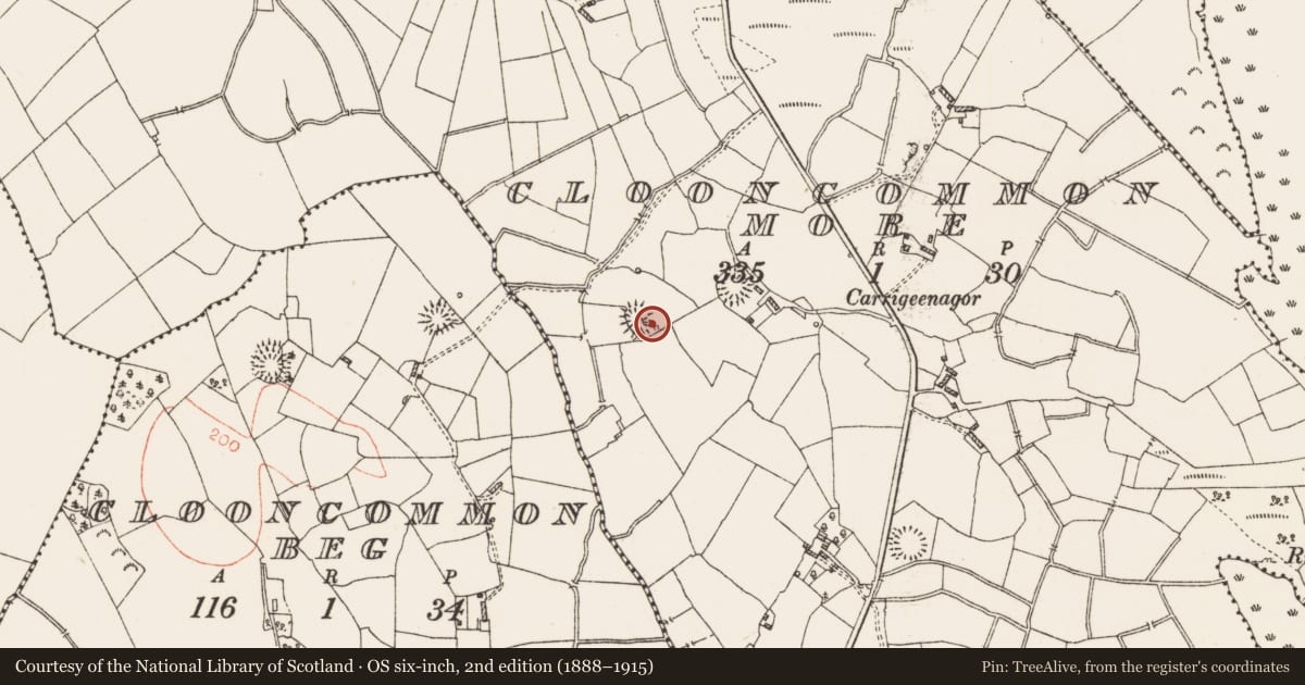 Ordnance Survey six-inch map, 2nd edition (1888–1915) covering the location of Mass-rock, Clooncommon More, County Roscommon, with a pin at the register's coordinates