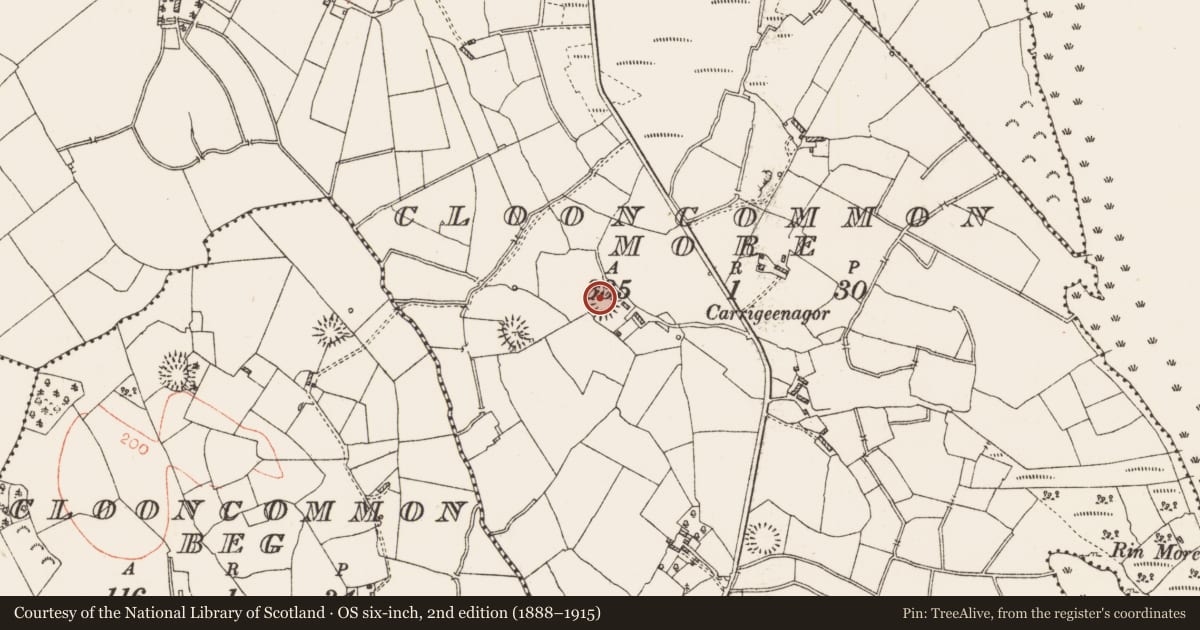 Ordnance Survey six-inch map, 2nd edition (1888–1915) covering the location of Ringfort - rath, Clooncommon More, County Roscommon, with a pin at the register's coordinates