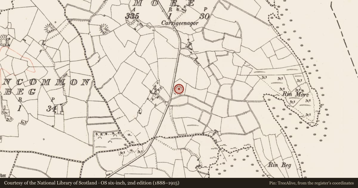 Ordnance Survey six-inch map, 2nd edition (1888–1915) covering the location of Ringfort - rath, Clooncommon More, County Roscommon, with a pin at the register's coordinates