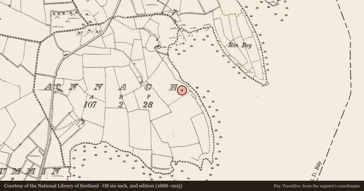 Ordnance Survey six-inch map, 2nd edition (1888–1915) covering the location of Kiln - corn-drying, Annagh, County Roscommon, with a pin at the register's coordinates