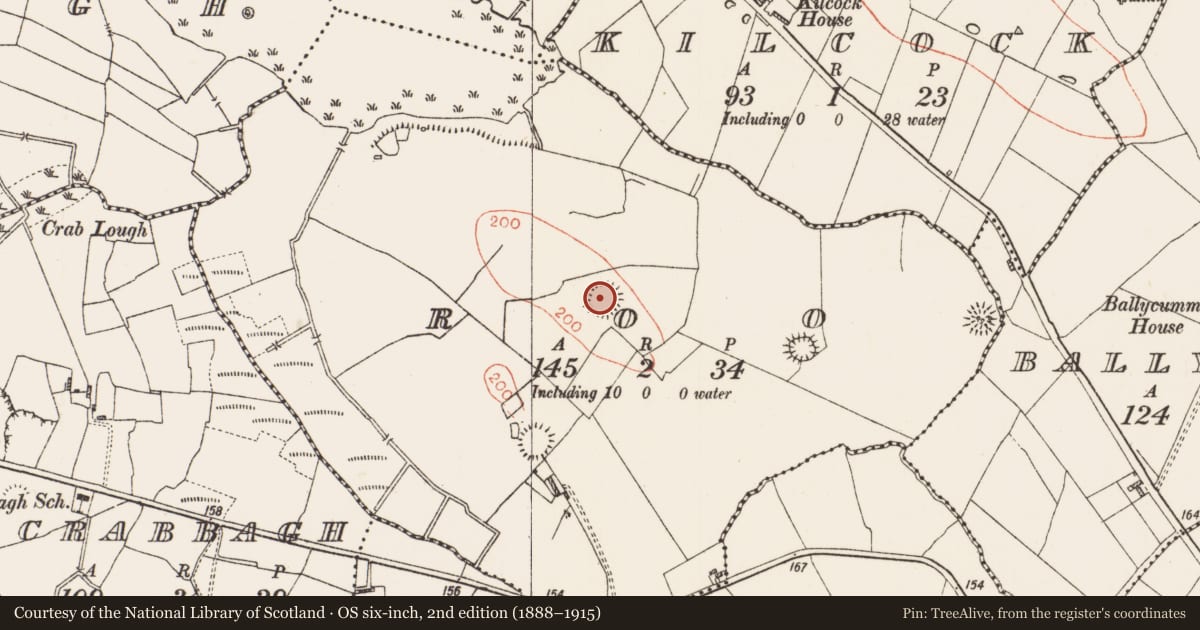 Ordnance Survey six-inch map, 2nd edition (1888–1915) covering the location of Ringfort - rath, Roo, County Roscommon, with a pin at the register's coordinates