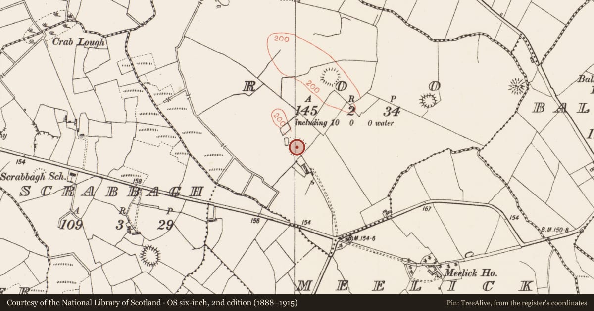 Ordnance Survey six-inch map, 2nd edition (1888–1915) covering the location of Ringfort - rath, Roo, County Roscommon, with a pin at the register's coordinates