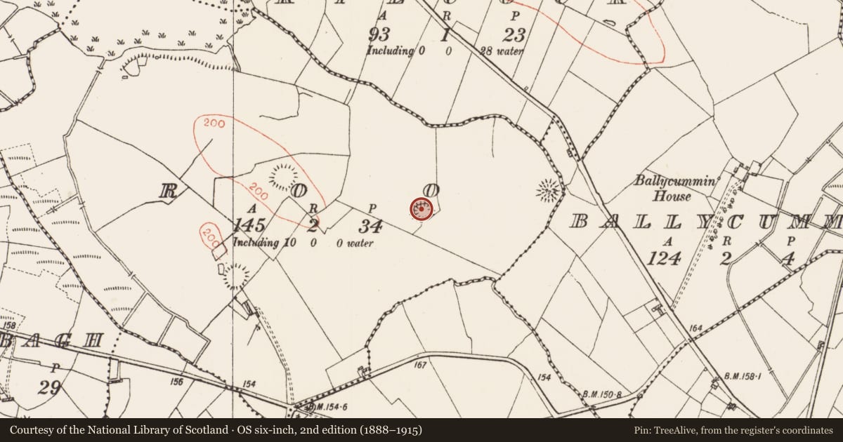 Ordnance Survey six-inch map, 2nd edition (1888–1915) covering the location of Ringfort - rath, Roo, County Roscommon, with a pin at the register's coordinates