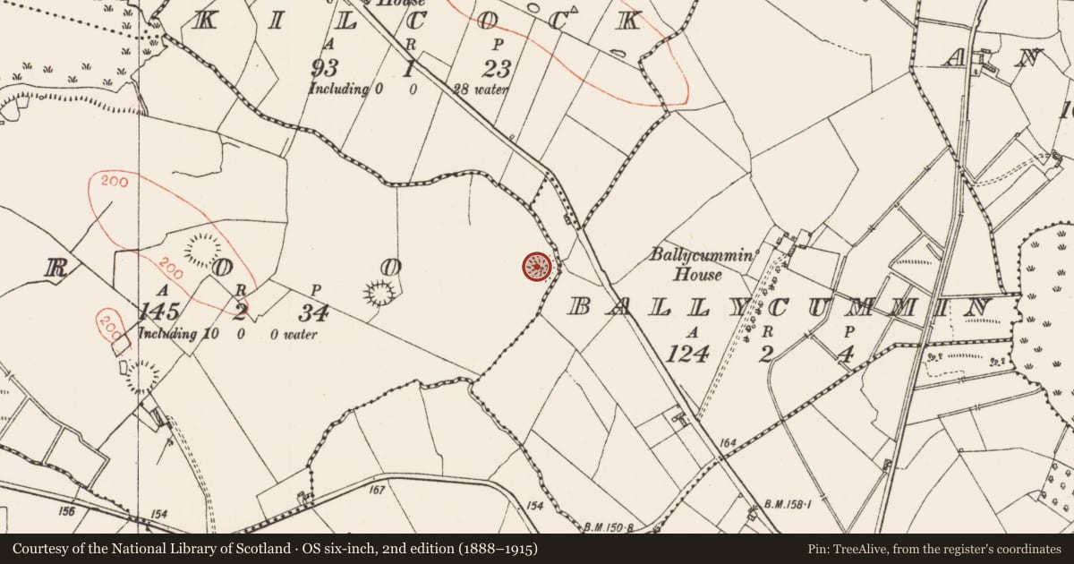 Ordnance Survey six-inch map, 2nd edition (1888–1915) covering the location of Ringfort - rath, Roo, County Roscommon, with a pin at the register's coordinates