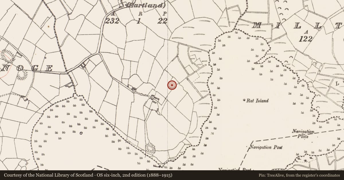 Ordnance Survey six-inch map, 2nd edition (1888–1915) covering the location of Ringfort - rath, Cartron (Hartland), County Roscommon, with a pin at the register's coordinates
