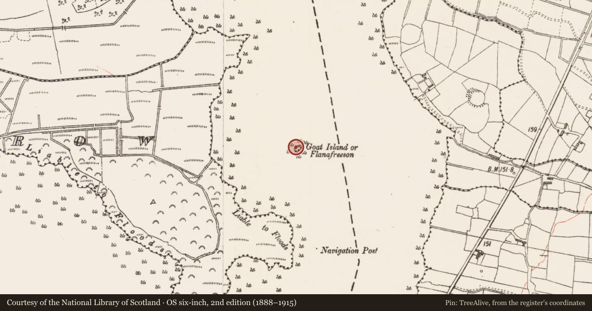 Ordnance Survey six-inch map, 2nd edition (1888–1915) covering the location of Crannog, Grange Lough, County Roscommon, with a pin at the register's coordinates