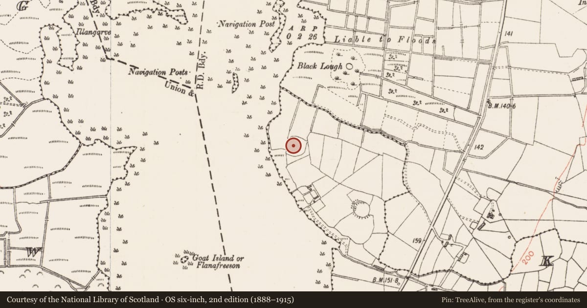Ordnance Survey six-inch map, 2nd edition (1888–1915) covering the location of Ringfort - rath, Kilgarve, County Roscommon, with a pin at the register's coordinates