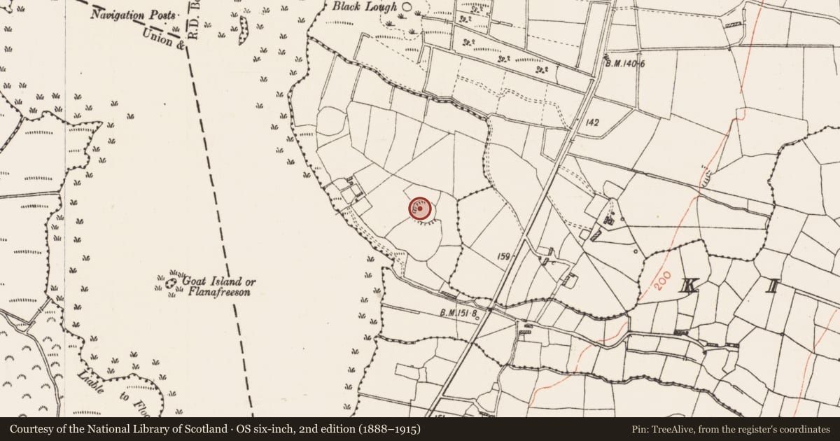 Ordnance Survey six-inch map, 2nd edition (1888–1915) covering the location of Ringfort - rath, Kilgarve, County Roscommon, with a pin at the register's coordinates