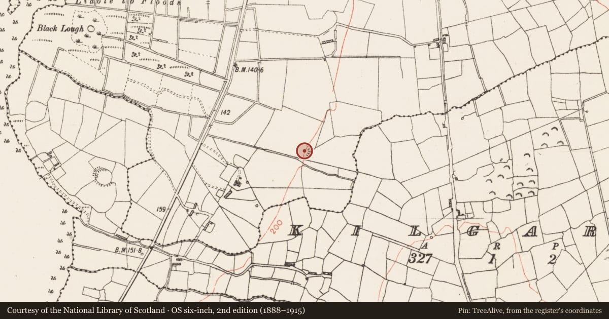Ordnance Survey six-inch map, 2nd edition (1888–1915) covering the location of Ringfort - rath, Lavagh, County Roscommon, with a pin at the register's coordinates