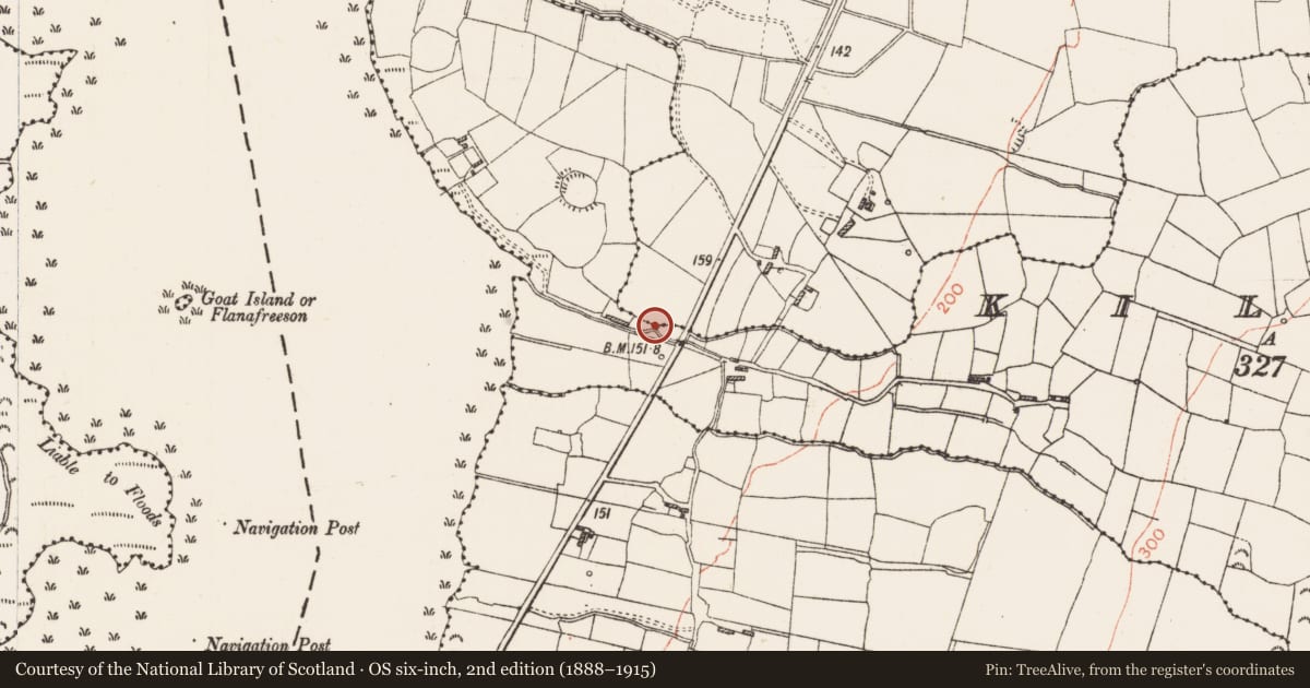Ordnance Survey six-inch map, 2nd edition (1888–1915) covering the location of Millstone quarry, Kilgarve, County Roscommon, with a pin at the register's coordinates