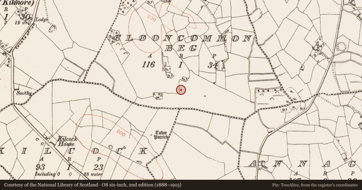 Ordnance Survey six-inch map, 2nd edition (1888–1915) covering the location of Enclosure - large enclosure, Clooncommon Beg, County Roscommon, with a pin at the register's coordinates