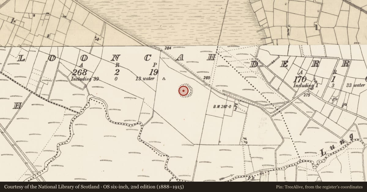 Ordnance Survey six-inch map, 2nd edition (1888–1915) covering the location of Ringfort - rath, Clooncah, County Roscommon, with a pin at the register's coordinates