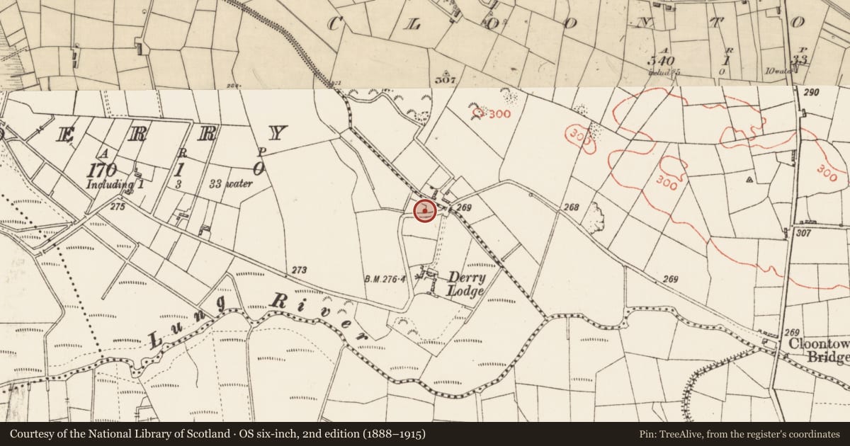 Ordnance Survey six-inch map, 2nd edition (1888–1915) covering the location of Mill - unclassified, Derry, County Roscommon, with a pin at the register's coordinates