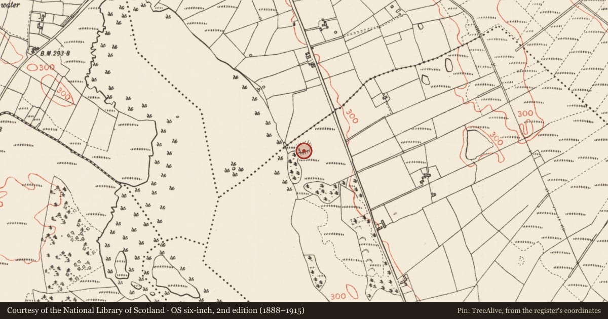 Ordnance Survey six-inch map, 2nd edition (1888–1915) covering the location of Enclosure, Gortaganny, County Roscommon, with a pin at the register's coordinates