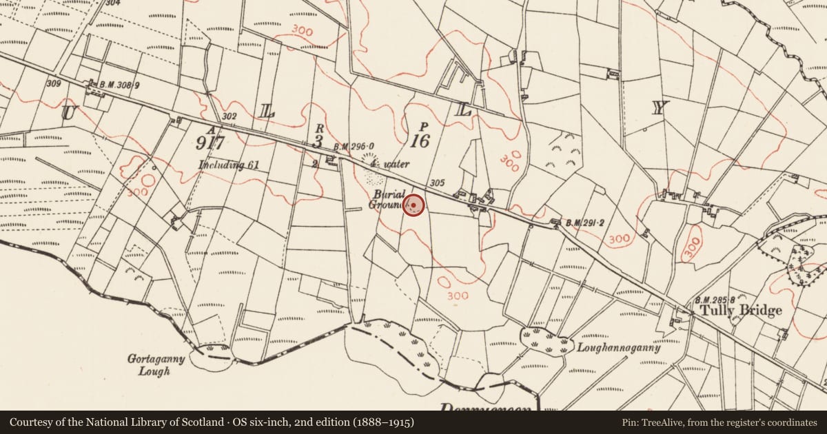 Ordnance Survey six-inch map, 2nd edition (1888–1915) covering the location of Children's burial ground, Tully, County Roscommon, with a pin at the register's coordinates