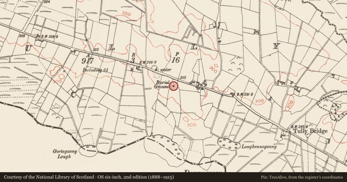 Ordnance Survey six-inch map, 2nd edition (1888–1915) covering the location of Ringfort - rath, Tully, County Roscommon, with a pin at the register's coordinates