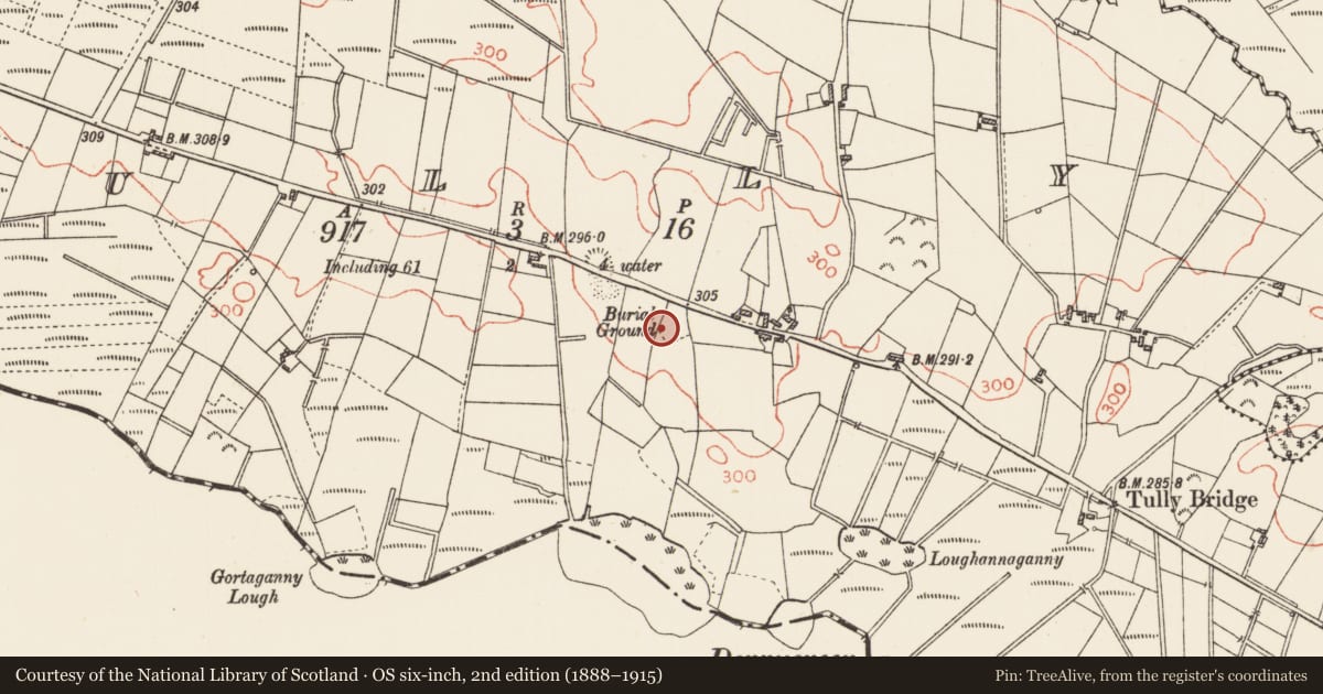 Ordnance Survey six-inch map, 2nd edition (1888–1915) covering the location of Souterrain, Tully, County Roscommon, with a pin at the register's coordinates