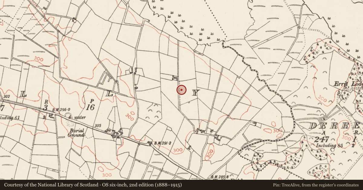 Ordnance Survey six-inch map, 2nd edition (1888–1915) covering the location of Souterrain, Tully, County Roscommon, with a pin at the register's coordinates