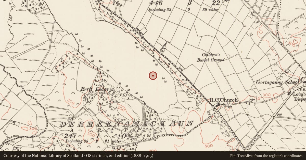 Ordnance Survey six-inch map, 2nd edition (1888–1915) covering the location of Crannog, Derreenamackaun, County Roscommon, with a pin at the register's coordinates