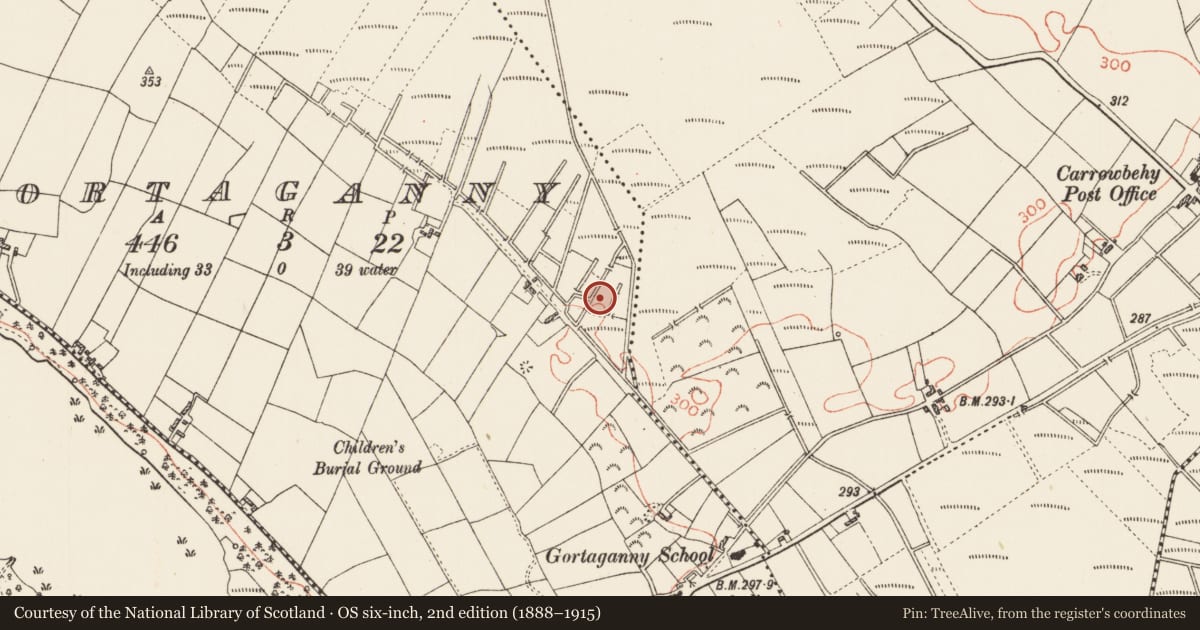 Ordnance Survey six-inch map, 2nd edition (1888–1915) covering the location of Earthwork, Gortaganny, County Roscommon, with a pin at the register's coordinates