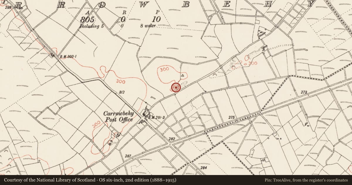 Ordnance Survey six-inch map, 2nd edition (1888–1915) covering the location of Ringfort - rath, Carrowbehy, County Roscommon, with a pin at the register's coordinates