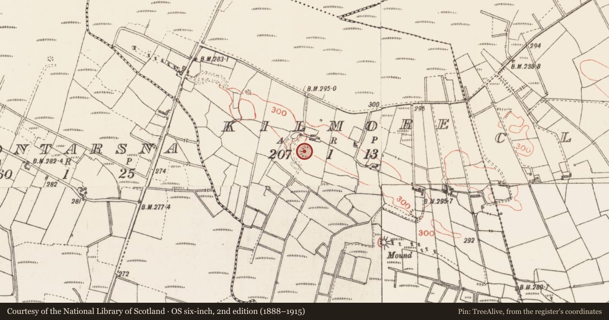 Ordnance Survey six-inch map, 2nd edition (1888–1915) covering the location of Ringfort - cashel, Kilmore, County Roscommon, with a pin at the register's coordinates