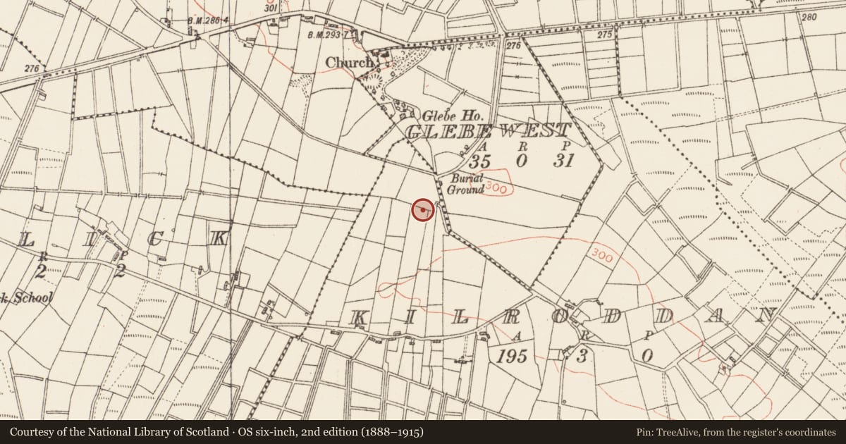 Ordnance Survey six-inch map, 2nd edition (1888–1915) covering the location of Ritual site - holy well, Kilroddan, County Roscommon, with a pin at the register's coordinates