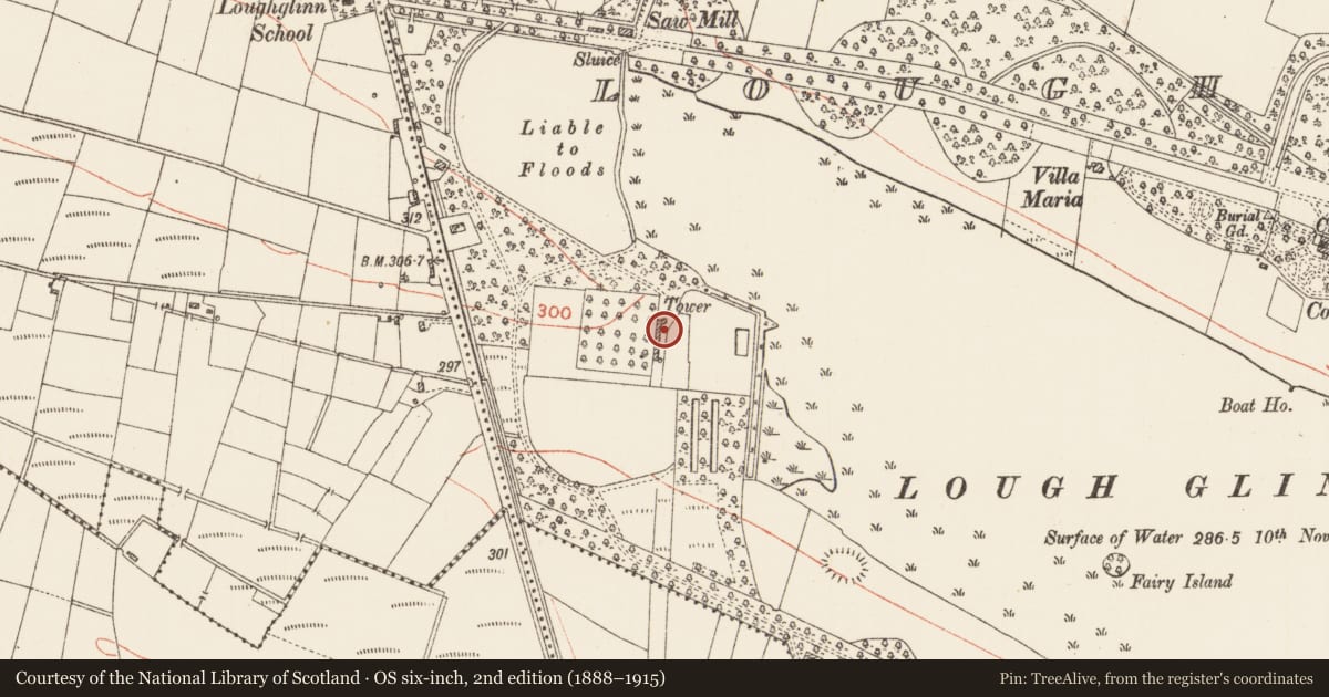 Ordnance Survey six-inch map, 2nd edition (1888–1915) covering the location of Inscribed stone, Loughglinn Demesne, County Roscommon, with a pin at the register's coordinates