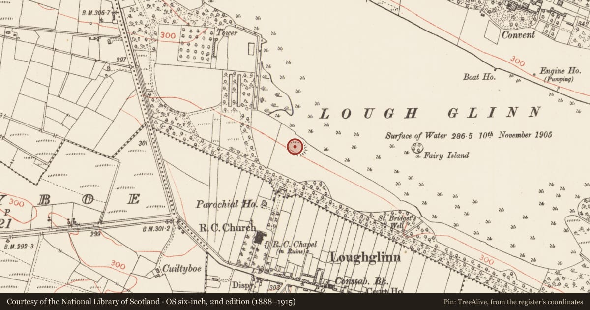 Ordnance Survey six-inch map, 2nd edition (1888–1915) covering the location of Enclosure, Loughglinn Demesne, County Roscommon, with a pin at the register's coordinates