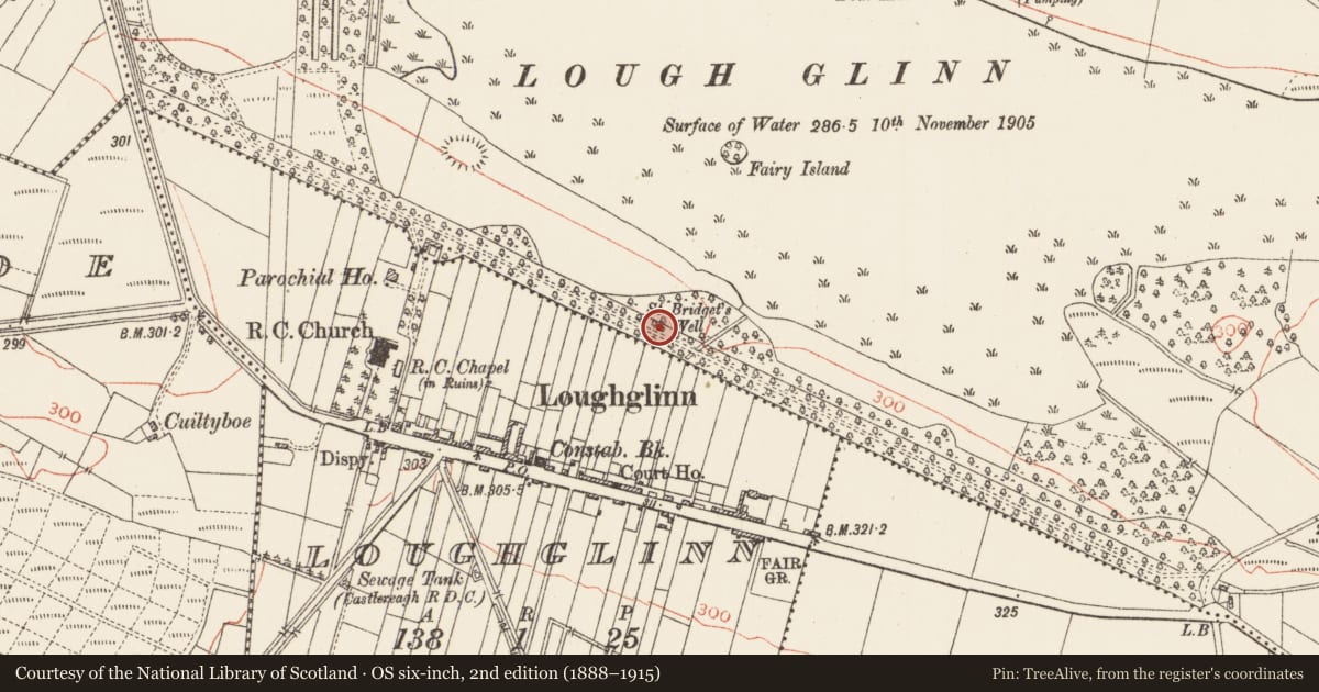 Ordnance Survey six-inch map, 2nd edition (1888–1915) covering the location of Ritual site - holy well, Loughglinn Demesne, County Roscommon, with a pin at the register's coordinates