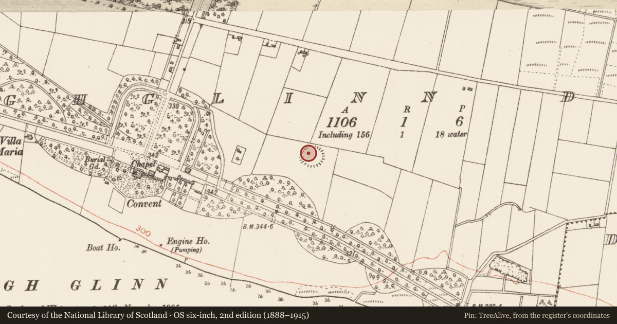 Ordnance Survey six-inch map, 2nd edition (1888–1915) covering the location of Ringfort - rath, Loughglinn Demesne, County Roscommon, with a pin at the register's coordinates