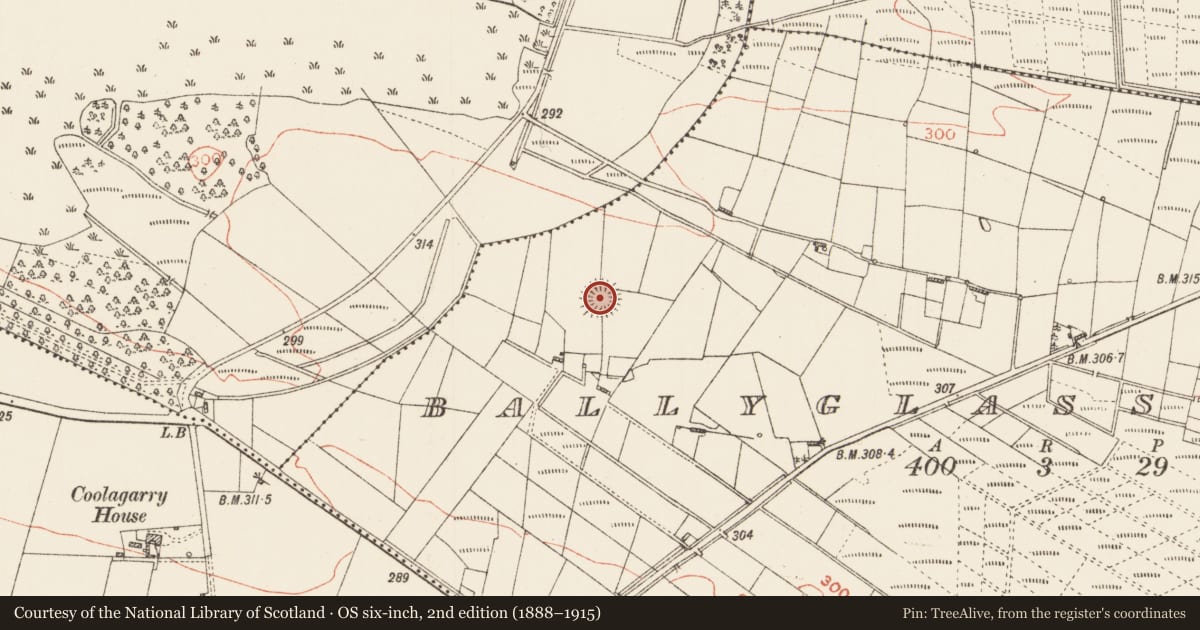 Ordnance Survey six-inch map, 2nd edition (1888–1915) covering the location of Ringfort - rath, Ballyglass East, County Roscommon, with a pin at the register's coordinates