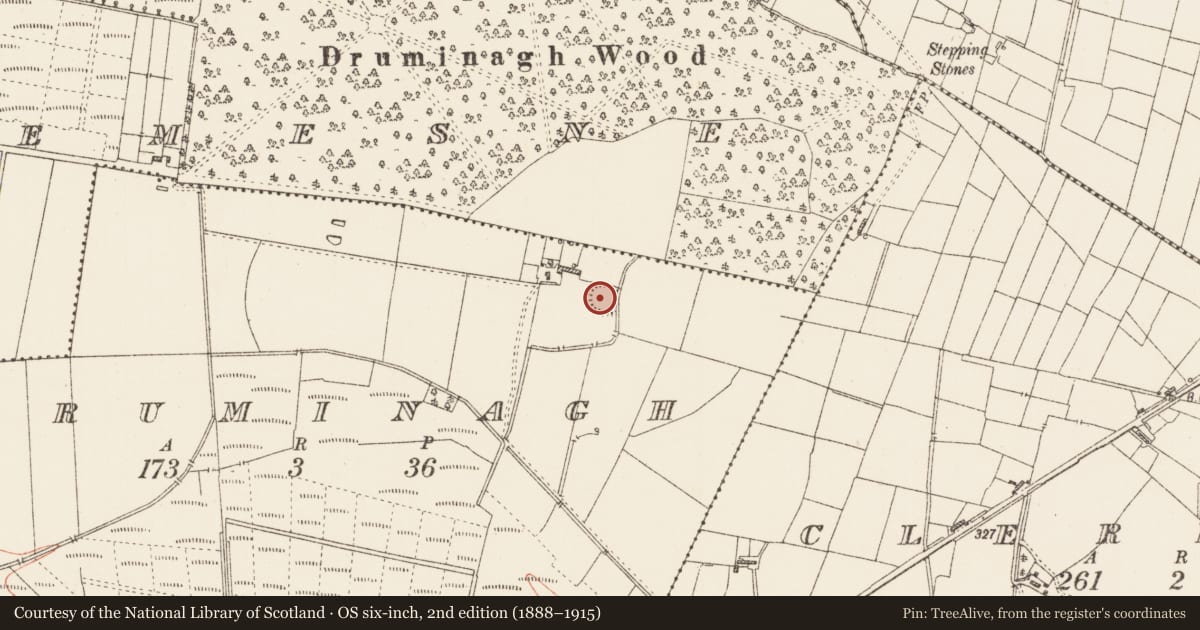 Ordnance Survey six-inch map, 2nd edition (1888–1915) covering the location of Ringfort - rath, Druminagh, County Roscommon, with a pin at the register's coordinates