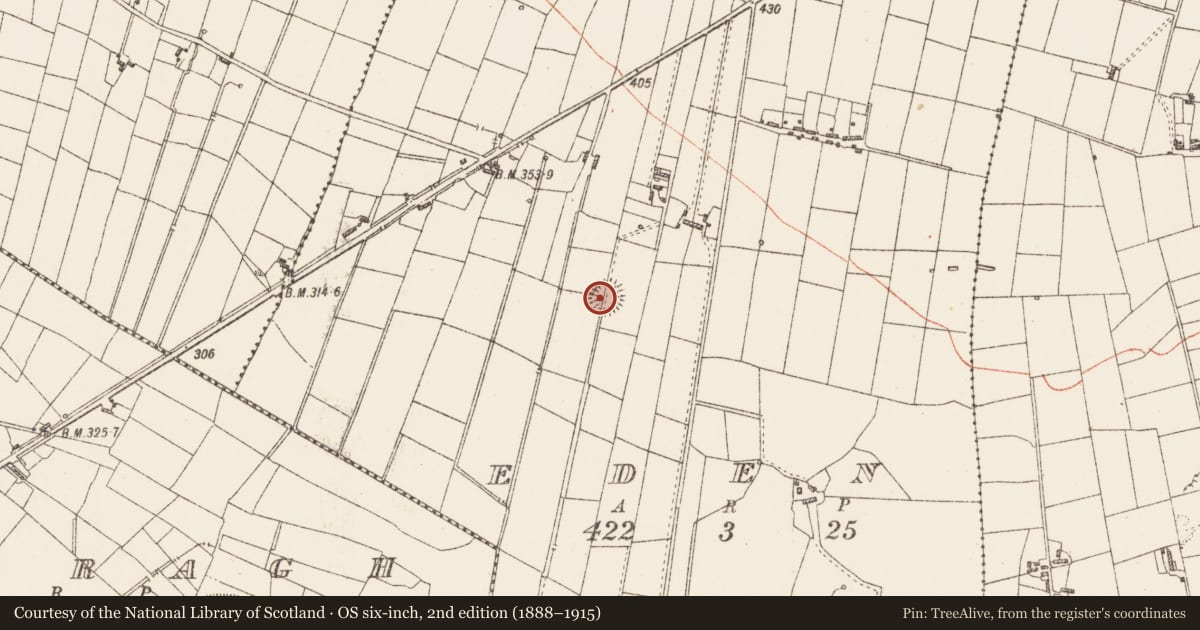 Ordnance Survey six-inch map, 2nd edition (1888–1915) covering the location of Ringfort - rath, Eden, County Roscommon, with a pin at the register's coordinates