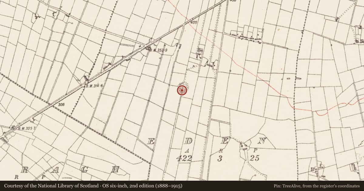 Ordnance Survey six-inch map, 2nd edition (1888–1915) covering the location of Souterrain, Eden, County Roscommon, with a pin at the register's coordinates