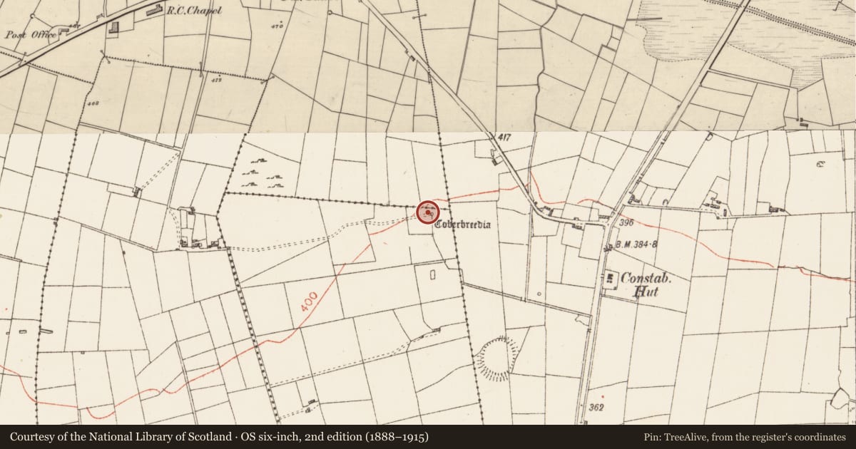 Ordnance Survey six-inch map, 2nd edition (1888–1915) covering the location of Penitential station, Stonepark, County Roscommon, with a pin at the register's coordinates