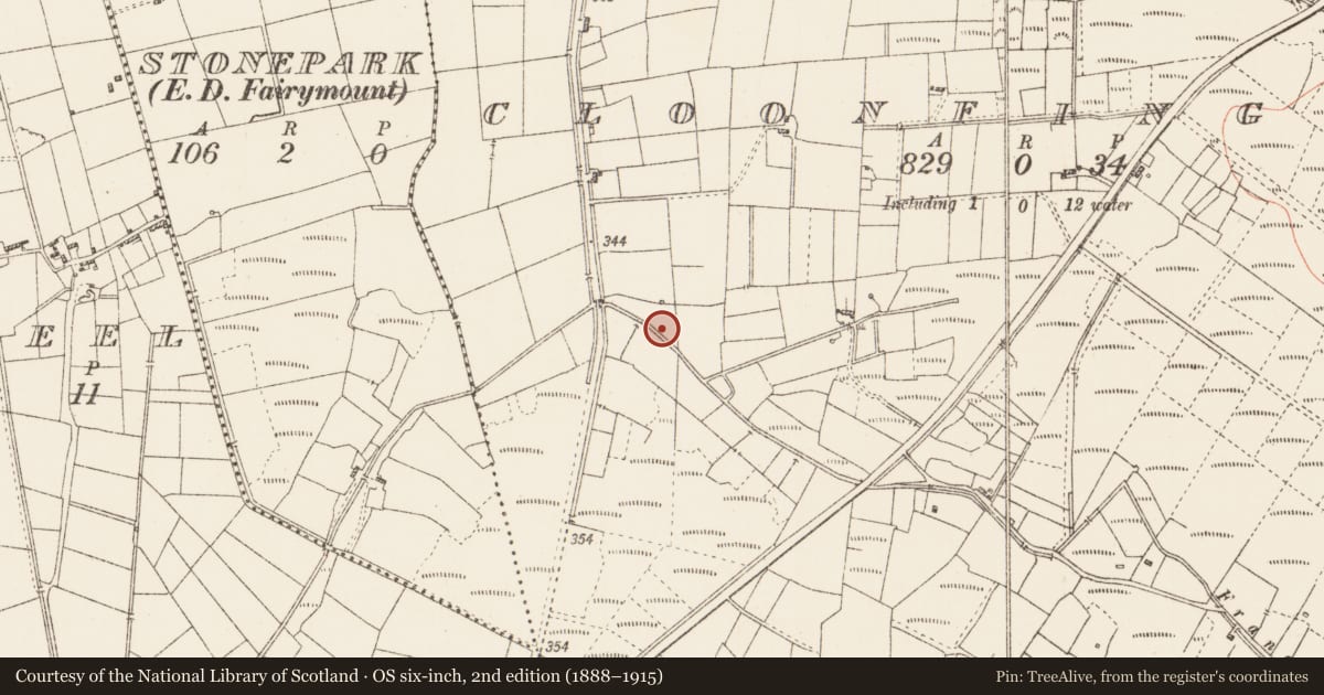 Ordnance Survey six-inch map, 2nd edition (1888–1915) covering the location of Cairn - clearance cairn, Cloonfinglas, County Roscommon, with a pin at the register's coordinates
