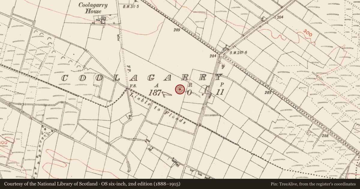 Ordnance Survey six-inch map, 2nd edition (1888–1915) covering the location of Ringfort - rath, Coolagarry, County Roscommon, with a pin at the register's coordinates