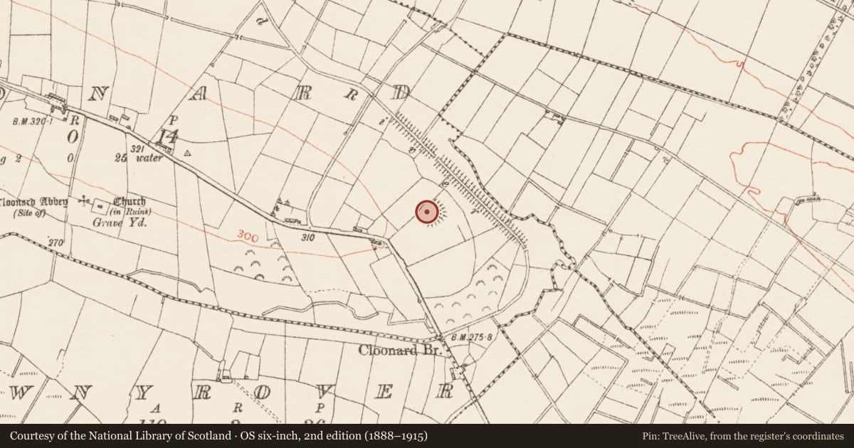 Ordnance Survey six-inch map, 2nd edition (1888–1915) covering the location of Ringfort - rath, Cloonard, County Roscommon, with a pin at the register's coordinates