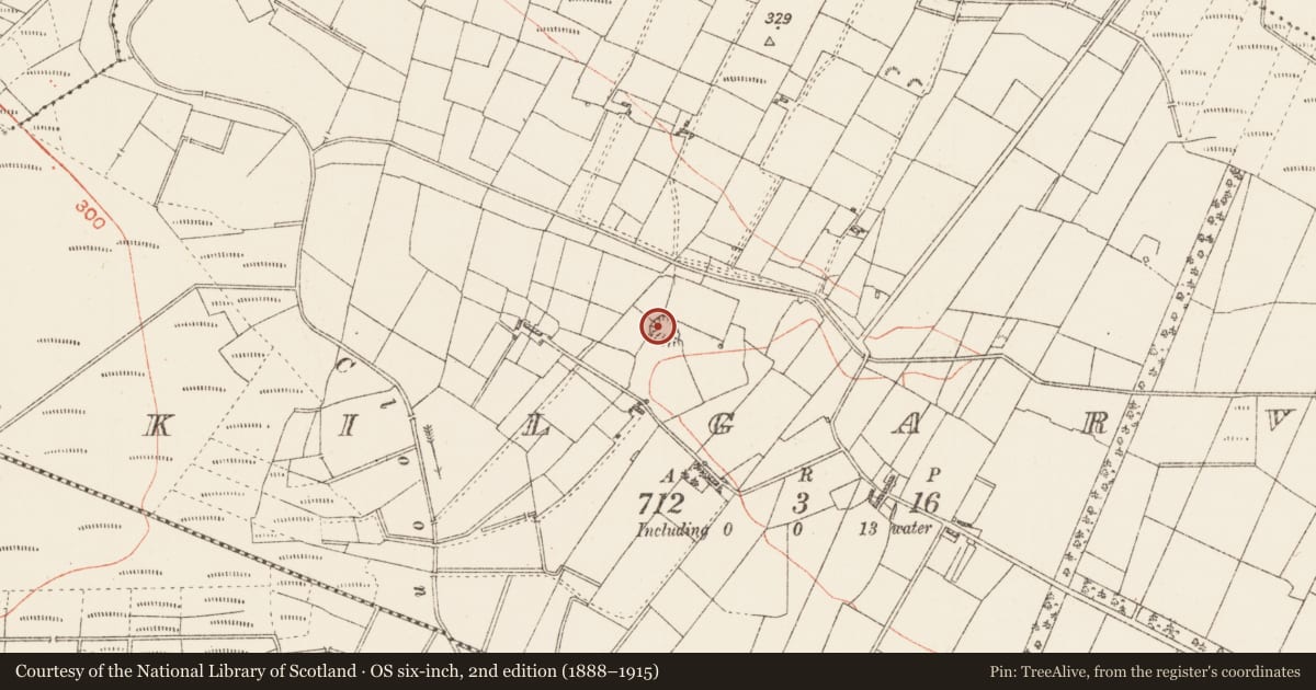 Ordnance Survey six-inch map, 2nd edition (1888–1915) covering the location of Ringfort - rath, Kilgarve, County Roscommon, with a pin at the register's coordinates