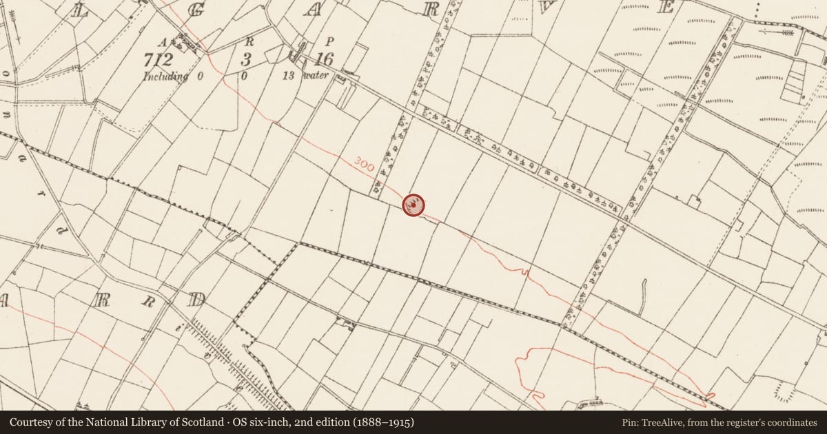 Ordnance Survey six-inch map, 2nd edition (1888–1915) covering the location of Ringfort - rath, Kilgarve, County Roscommon, with a pin at the register's coordinates