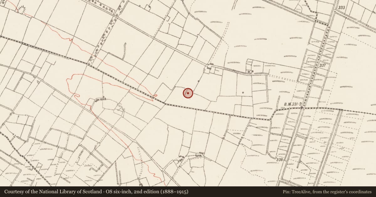 Ordnance Survey six-inch map, 2nd edition (1888–1915) covering the location of Ringfort - rath, Kilgarve, County Roscommon, with a pin at the register's coordinates