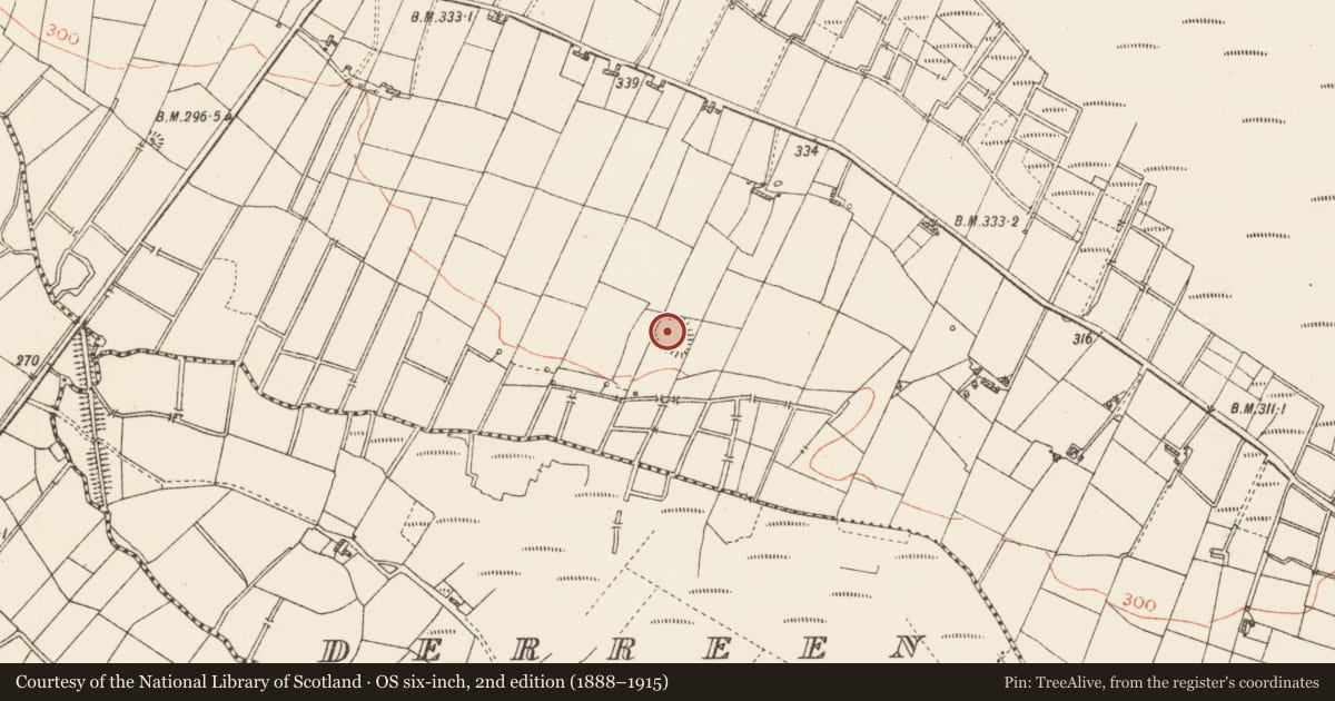 Ordnance Survey six-inch map, 2nd edition (1888–1915) covering the location of Ringfort - rath, Cloonfower, County Roscommon, with a pin at the register's coordinates